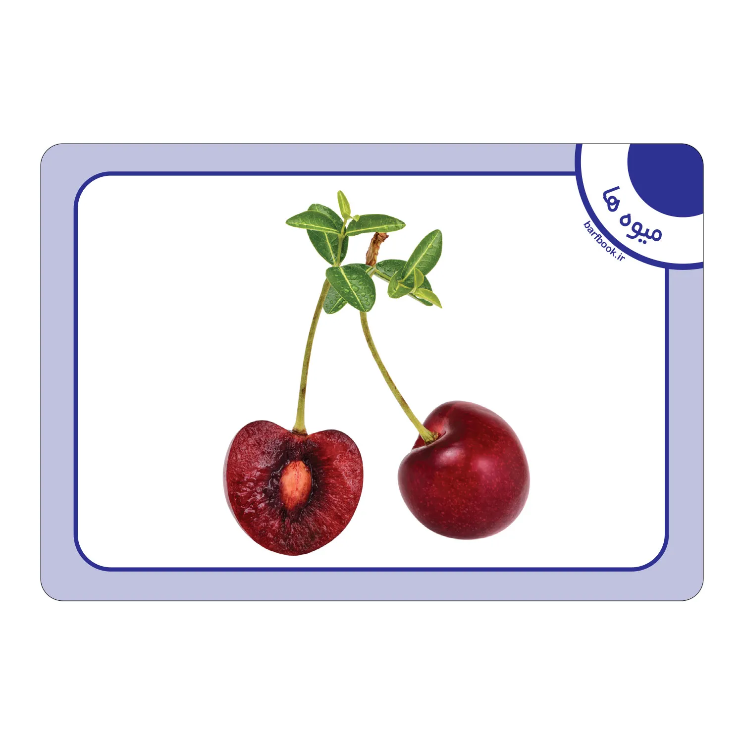 کارت فلش كارت ميوه ها